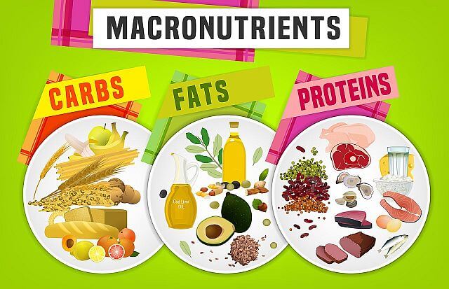 Macronutrients-Carbs, fats and proteins