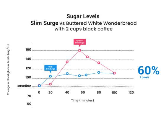 SLIMSURGE CARB BLOCKER